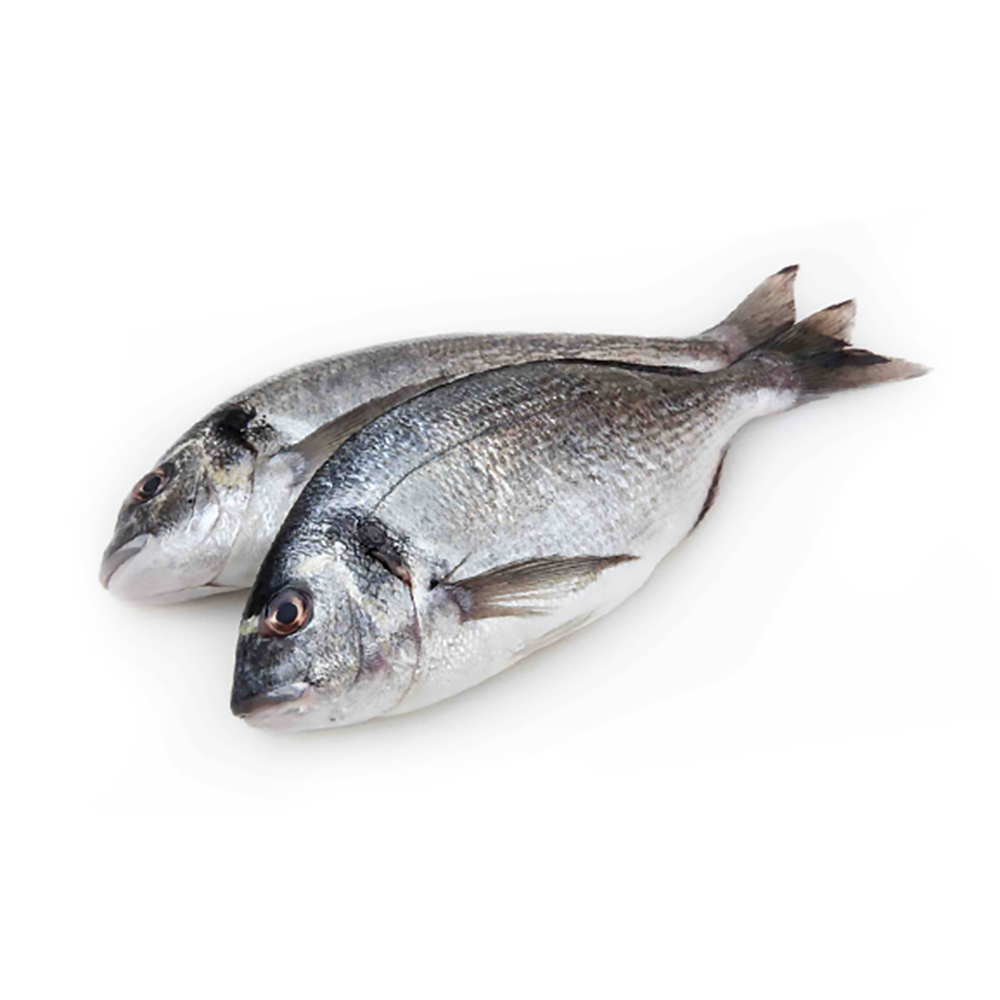 Дорадо с/м непотрош. с/г 400/600 TSM Deniz URUNLERI SAN VE TIC A.S.  Турция 5кг/кор купить в Донецке - Сушиман