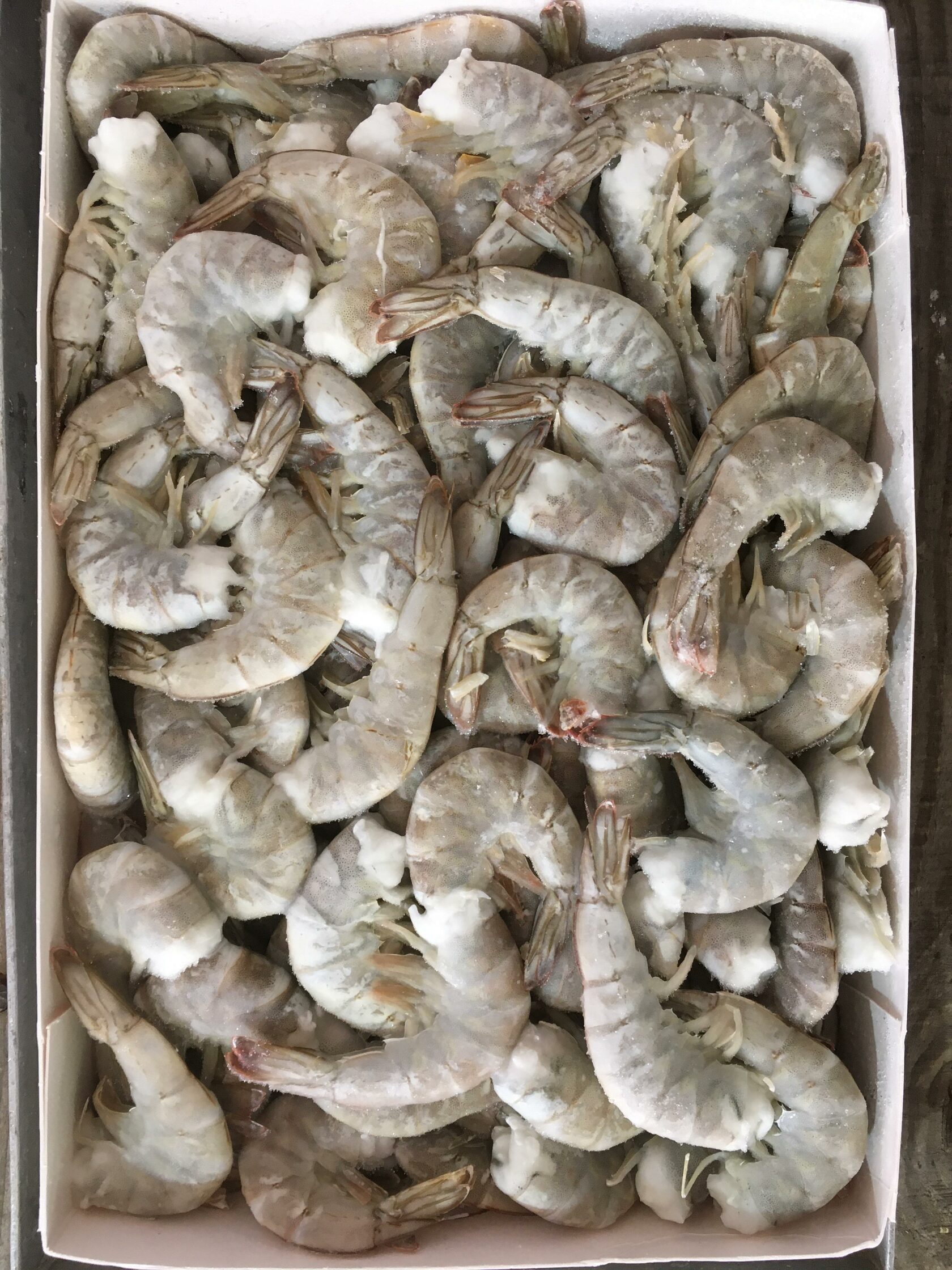 Креветка ваннамей с/м в панцире б/г 21/25 CONGELADOS 1,8кг, 10,8кг/кор, Эквадор 5369 купить в Донецке - Сушиман