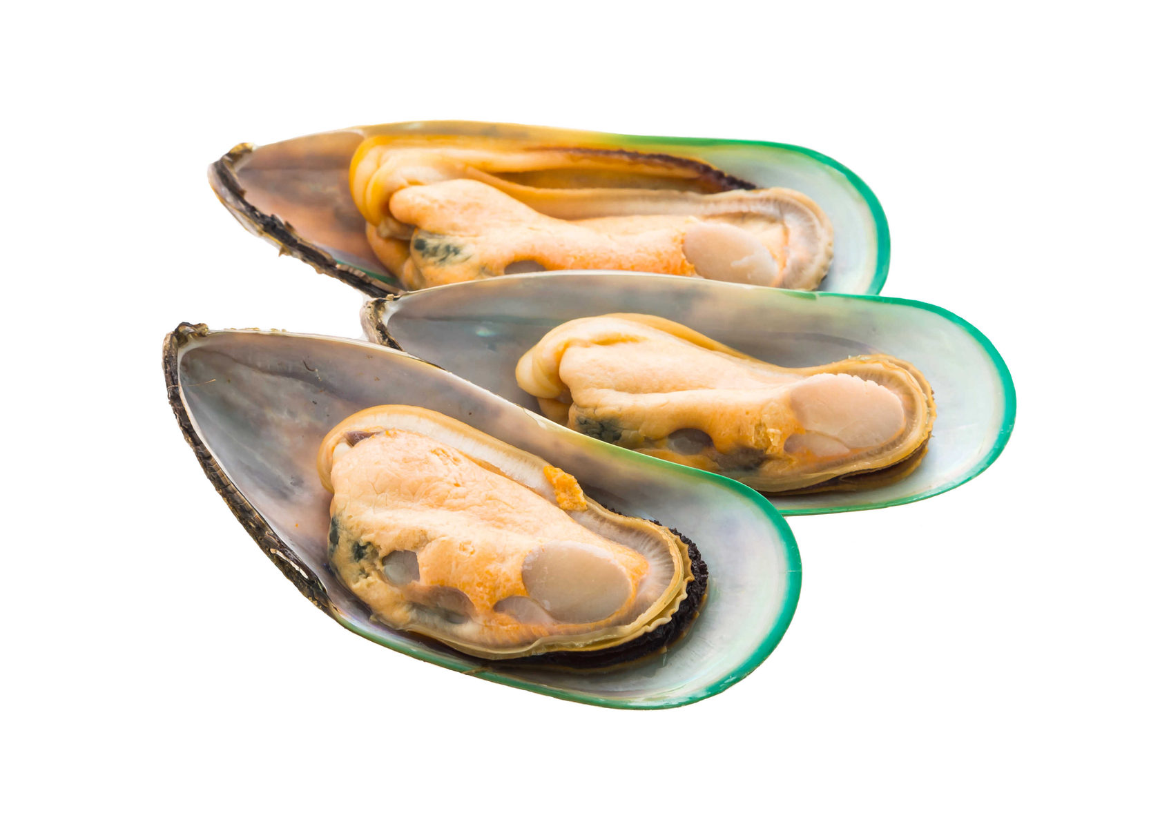 Мидии зеленые в створке раковины в/м 30/40 Shengsi Shunda Marine Food Products 1кг,12шт/кор,Китай купить в Донецке - Сушиман